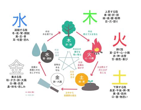 いんとよう|陰陽(オンヨウ)とは？ 意味や使い方